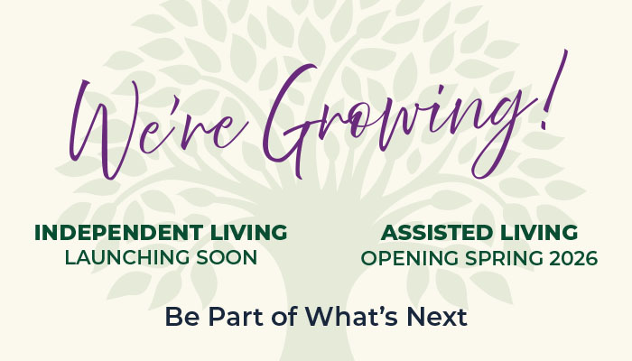 Heath Village Options